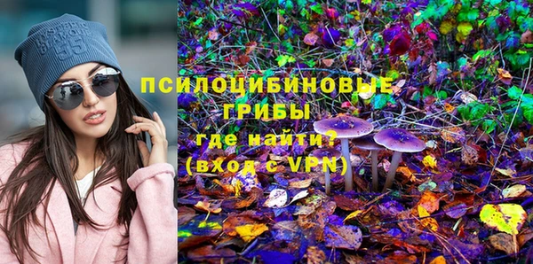 эйфоретик Тихвин