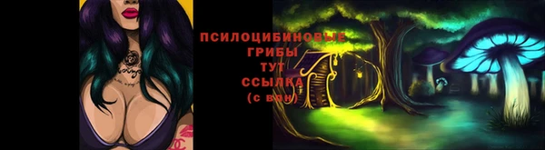 эйфоретик Тихвин