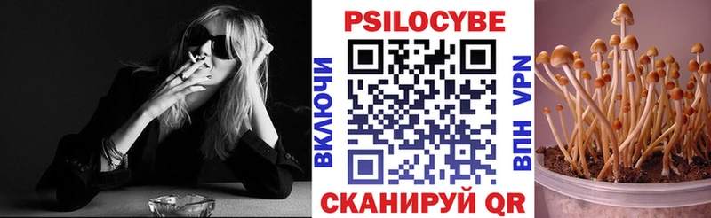 Псилоцибиновые грибы мицелий  Харабали 